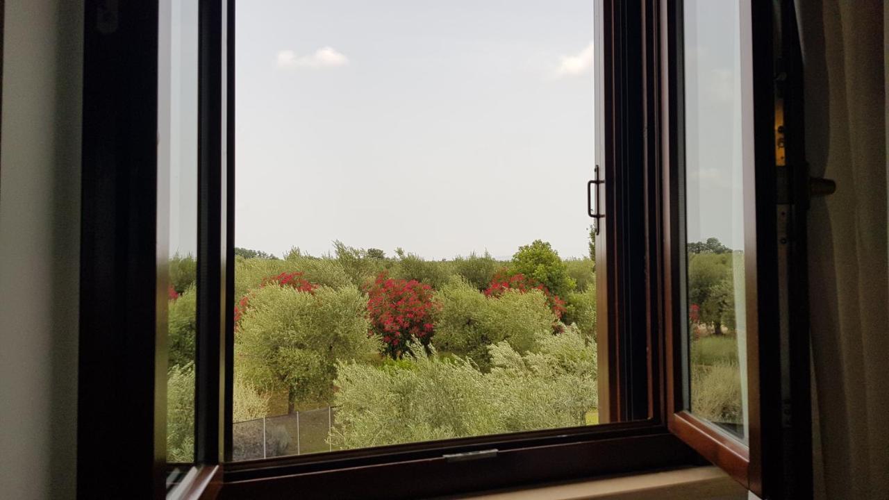 Il Casale Degli Ulivi - Agriturismo - Tenimenti Leone Lanuvio Eksteriør bilde