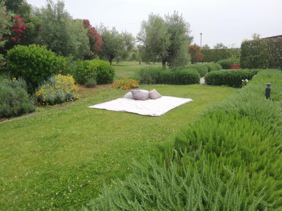Il Casale Degli Ulivi - Agriturismo - Tenimenti Leone Lanuvio Eksteriør bilde