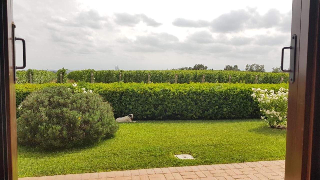 Il Casale Degli Ulivi - Agriturismo - Tenimenti Leone Lanuvio Eksteriør bilde