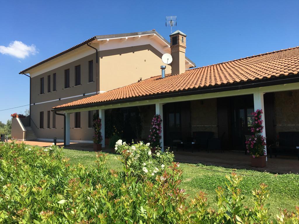 Il Casale Degli Ulivi - Agriturismo - Tenimenti Leone Lanuvio Eksteriør bilde