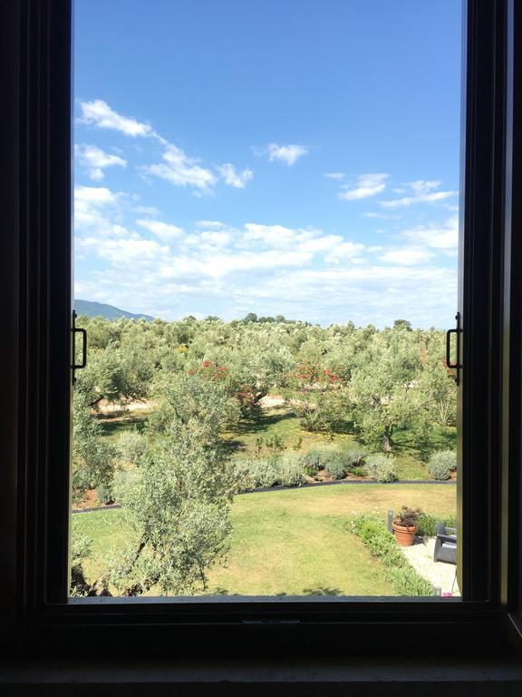 Il Casale Degli Ulivi - Agriturismo - Tenimenti Leone Lanuvio Eksteriør bilde