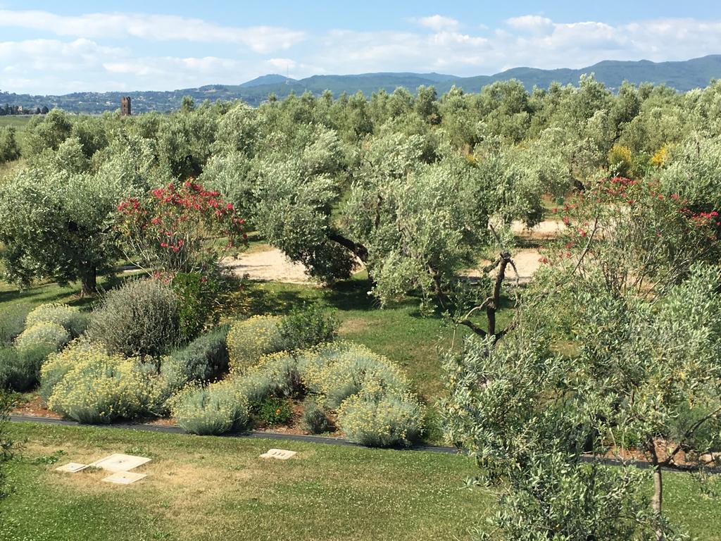 Il Casale Degli Ulivi - Agriturismo - Tenimenti Leone Lanuvio Eksteriør bilde