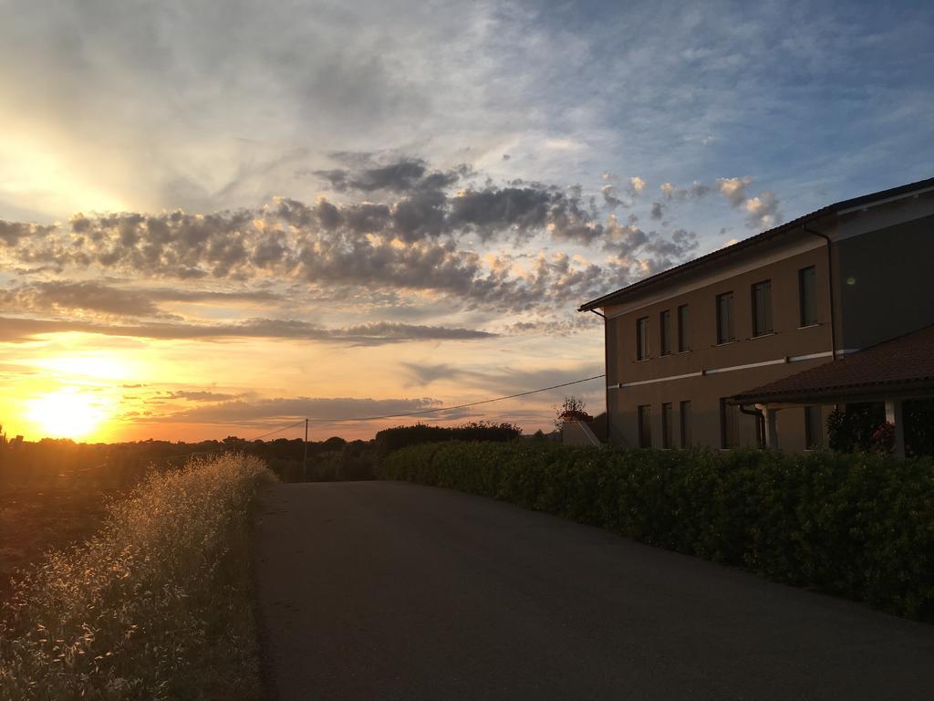 Il Casale Degli Ulivi - Agriturismo - Tenimenti Leone Lanuvio Eksteriør bilde