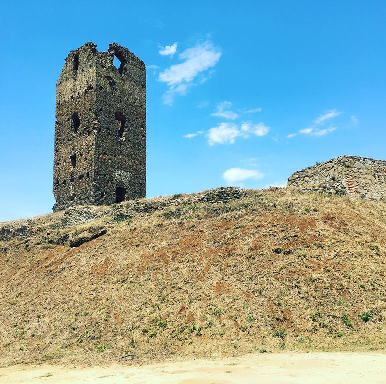 Il Casale Degli Ulivi - Agriturismo - Tenimenti Leone Lanuvio Eksteriør bilde