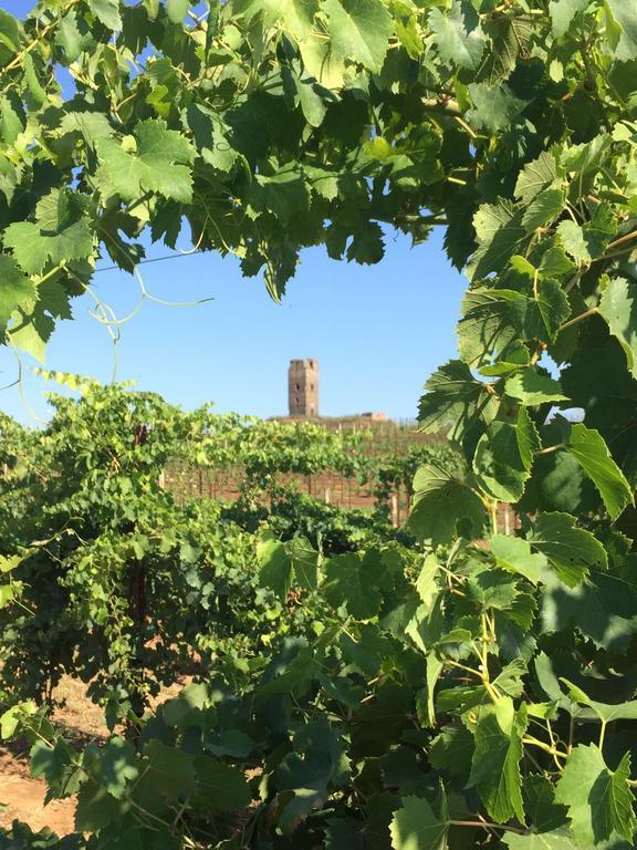 Il Casale Degli Ulivi - Agriturismo - Tenimenti Leone Lanuvio Eksteriør bilde