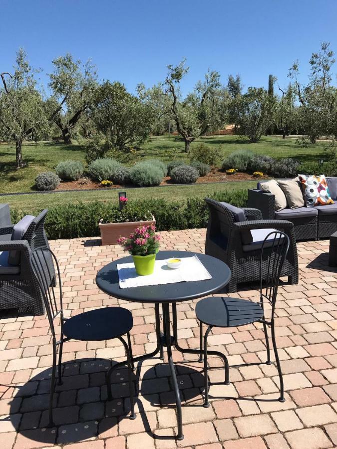 Il Casale Degli Ulivi - Agriturismo - Tenimenti Leone Lanuvio Eksteriør bilde