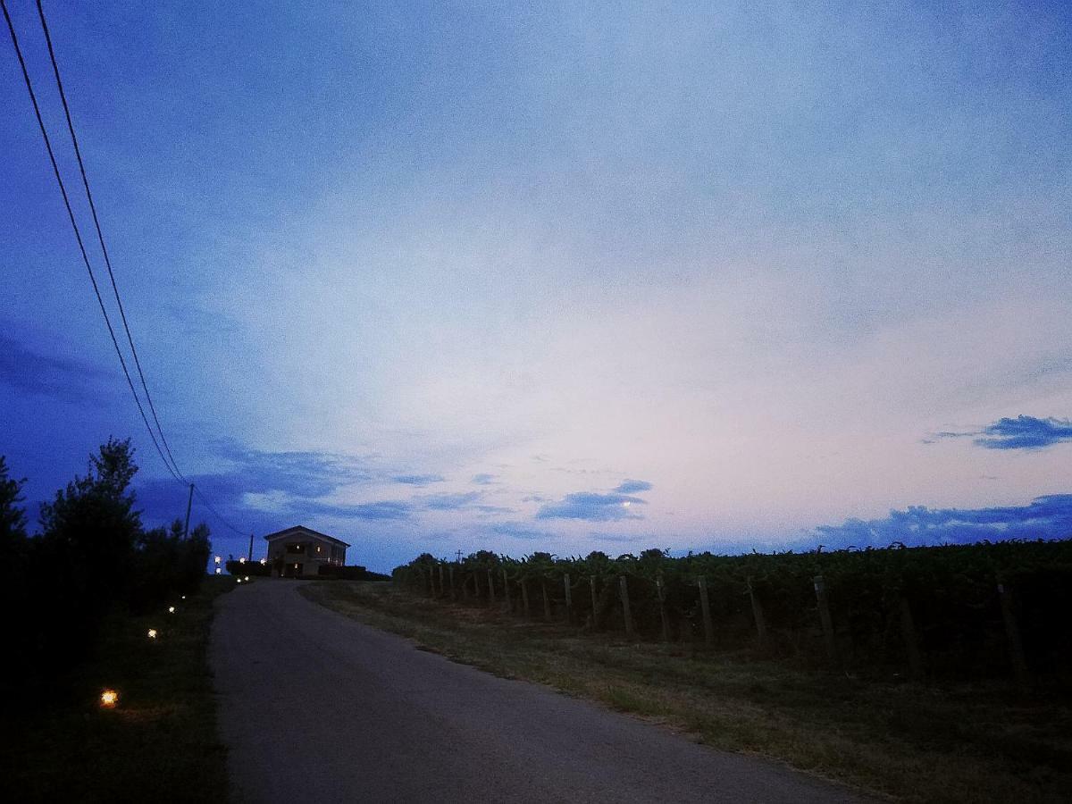 Il Casale Degli Ulivi - Agriturismo - Tenimenti Leone Lanuvio Eksteriør bilde